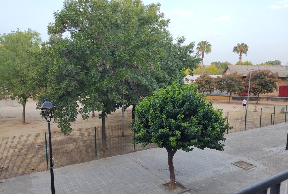  à vendre appartement Camas Metropolitana De Sevilla 7
