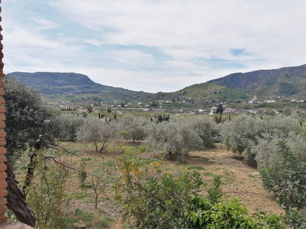  à vendre maison Bermejo-Caracuel Valle Del Guadalhorce 43
