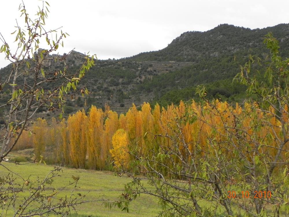  à vendre maison Casicas De San Juan Noroeste 8
