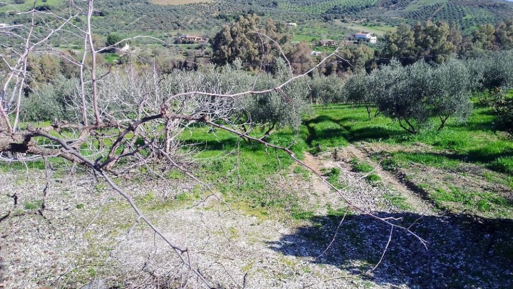  à vendre villa Coín Valle Del Guadalhorce 18