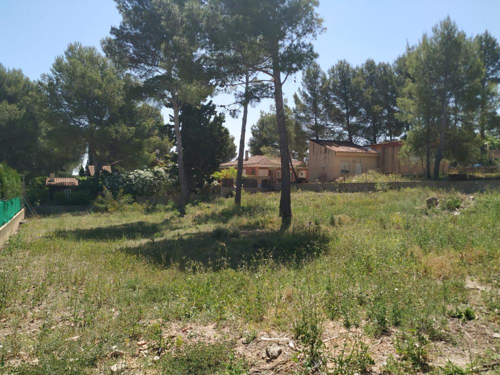  à vendre terrain Altury Ribera Alta 2