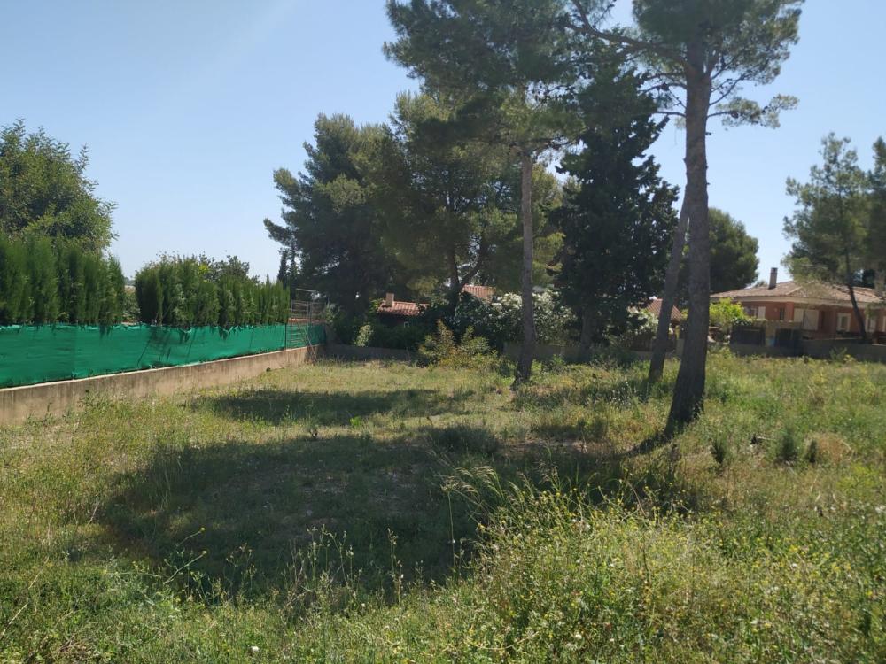  à vendre terrain Altury Ribera Alta 3