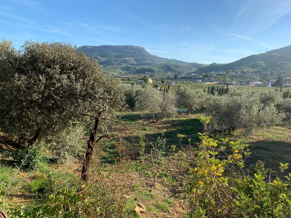  à vendre maison Bermejo-Caracuel Valle Del Guadalhorce 27
