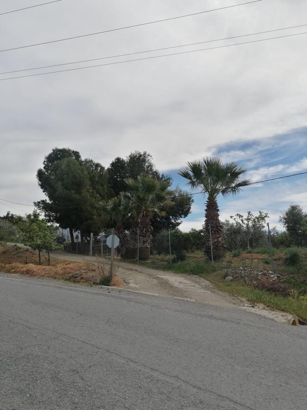 à vendre maison Bermejo-Caracuel Valle Del Guadalhorce 30