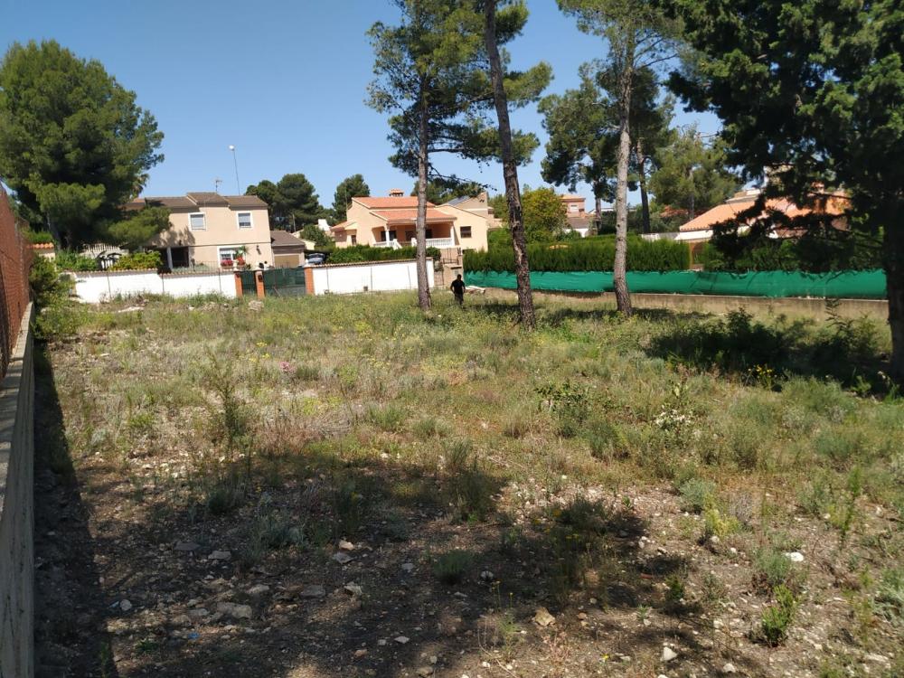  à vendre terrain Altury Ribera Alta 4