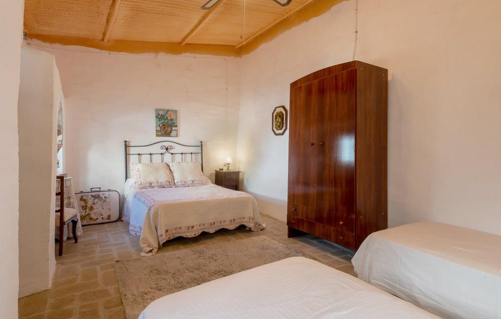  à vendre maison Las Pinedas Valle Medio Del Guadalquivir 15