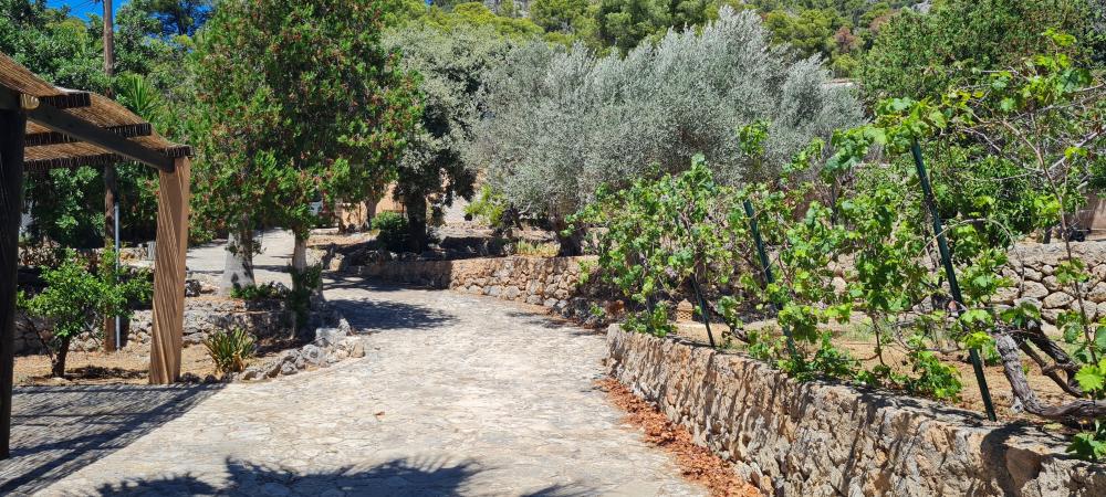  à vendre villa Bunyola Tramuntana 3