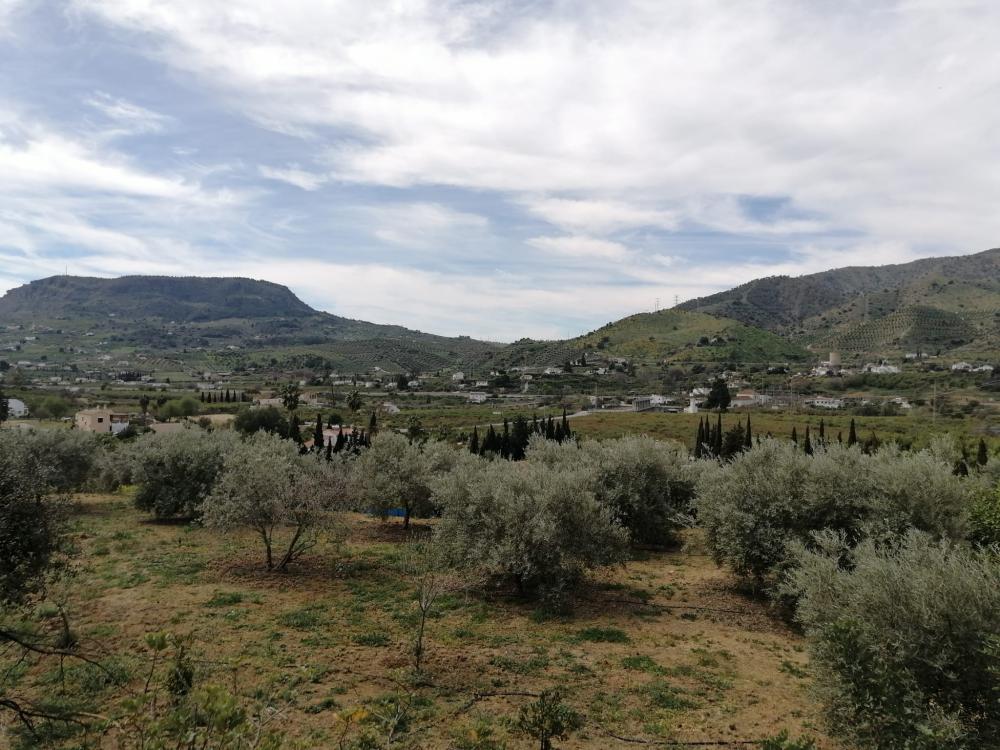  à vendre maison Bermejo-Caracuel Valle Del Guadalhorce 40