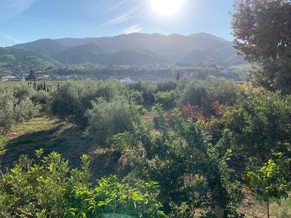  à vendre maison Bermejo-Caracuel Valle Del Guadalhorce 28