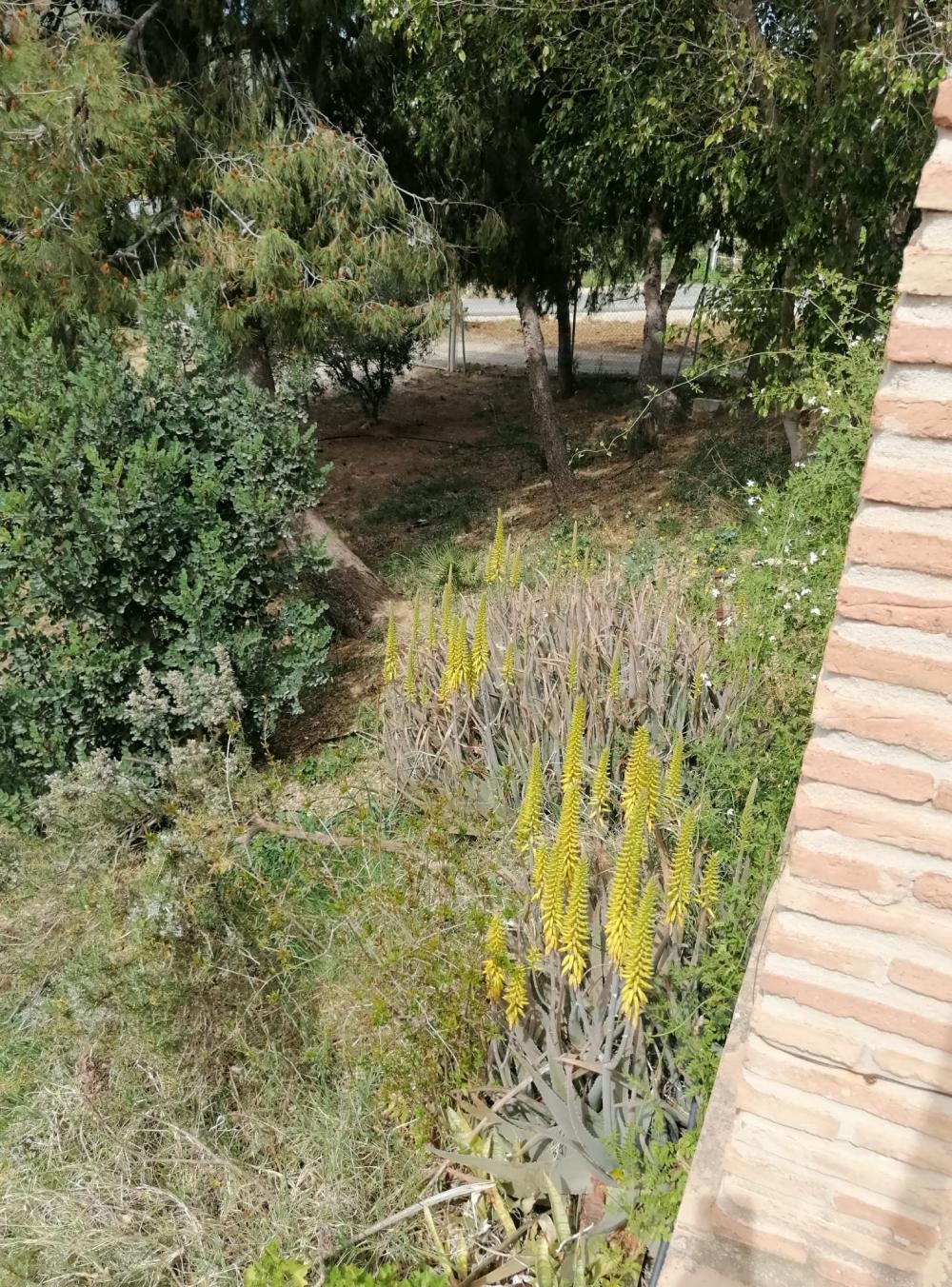  à vendre maison Bermejo-Caracuel Valle Del Guadalhorce 41