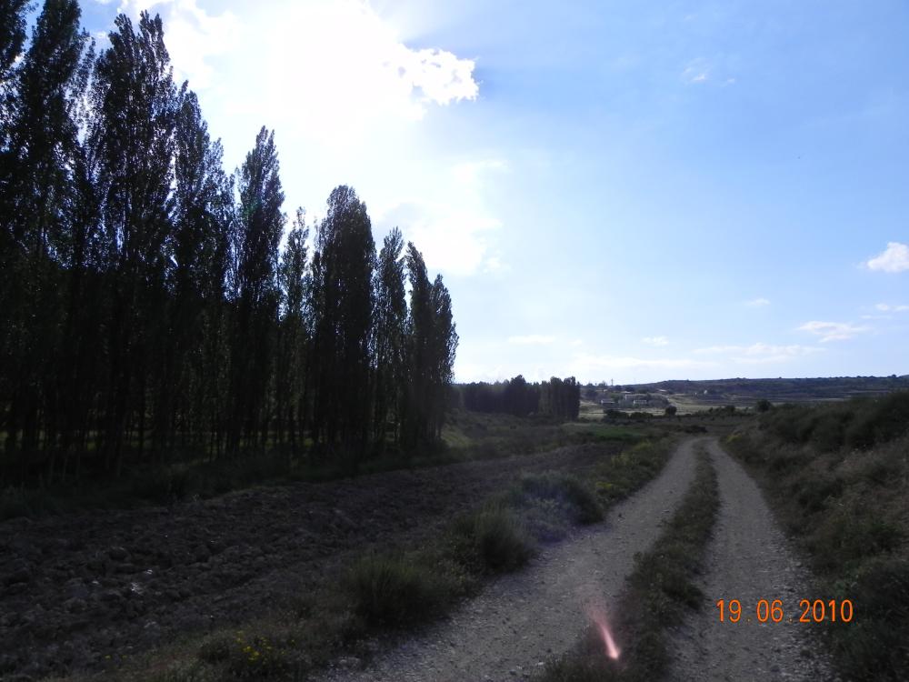  à vendre maison Casicas De San Juan Noroeste 7
