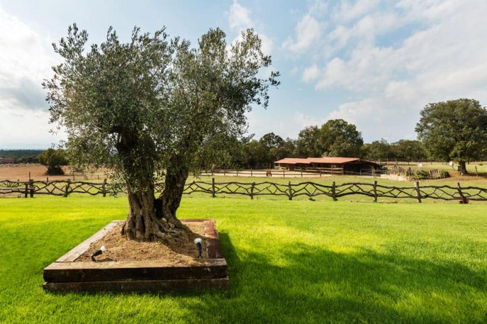  à vendre maison Cassà De La Selva Gironès 3