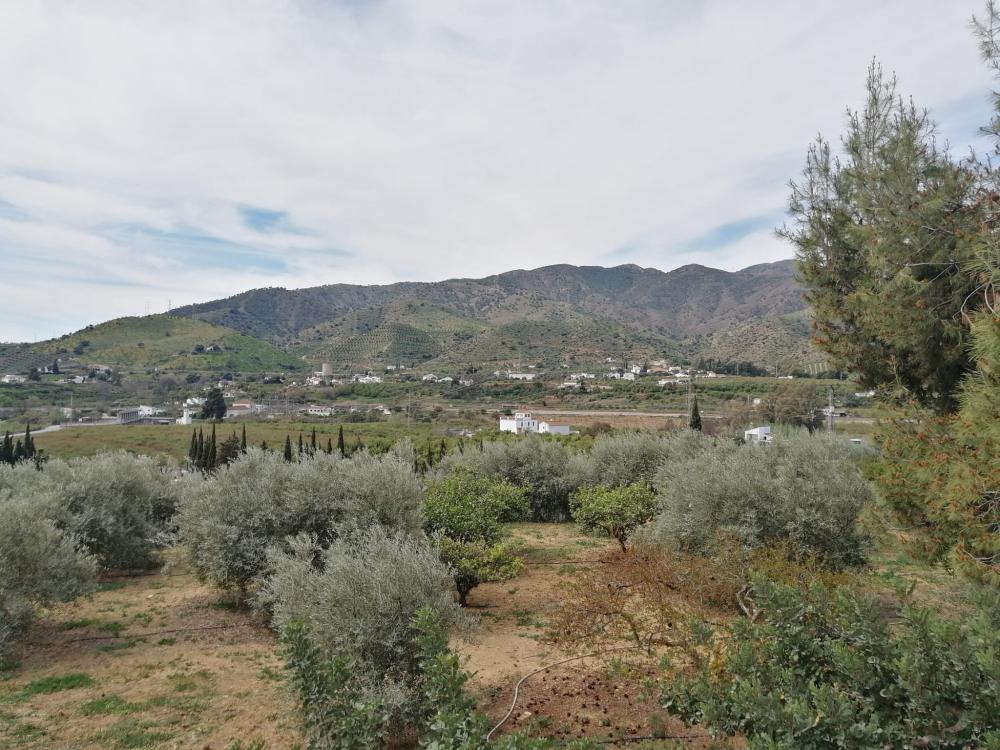  à vendre maison Bermejo-Caracuel Valle Del Guadalhorce 44