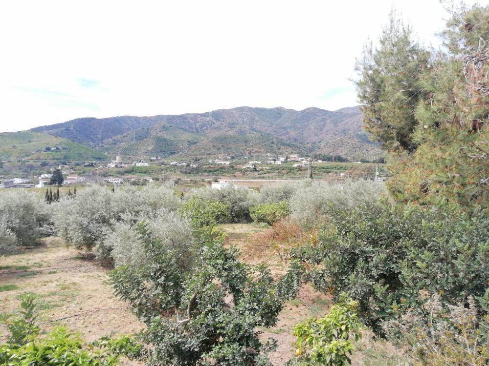  à vendre maison Bermejo-Caracuel Valle Del Guadalhorce 45