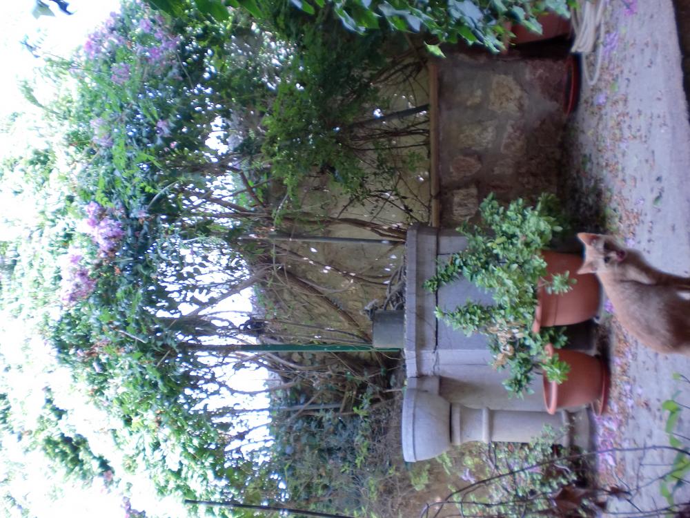  à vendre maison Lloseta Raiguer 21