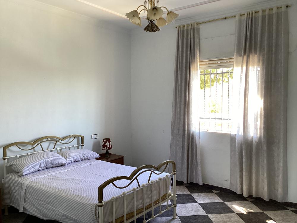 à vendre villa Puente Genil Campiña Sur 23