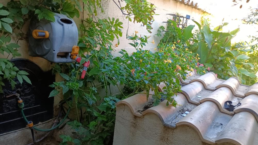  à vendre maison Las Labores Mancha (La) 6