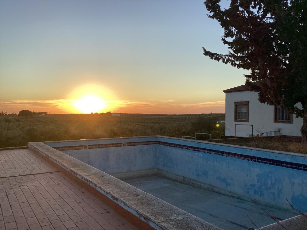  à vendre villa Puente Genil Campiña Sur 62