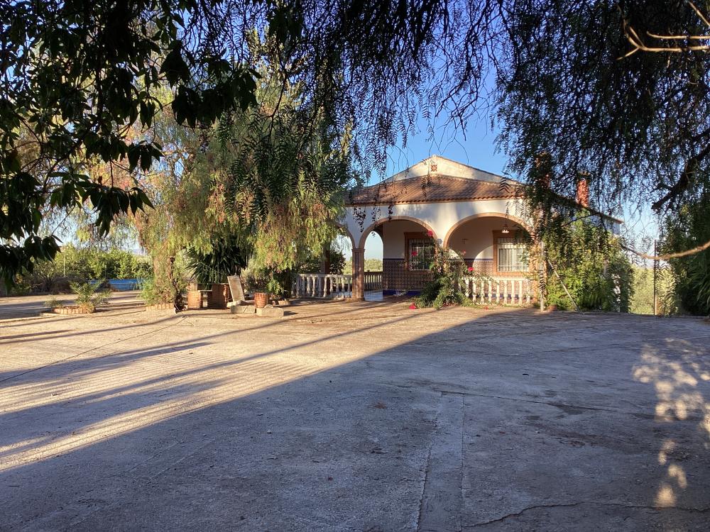  à vendre villa Puente Genil Campiña Sur 40