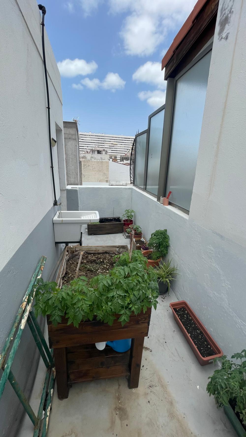  à vendre appartement Las Palmas Centro 35004 Palmas De Gran Canaria (Las) 18