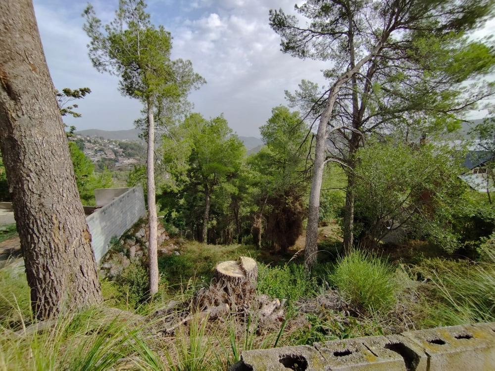  à vendre terrain Mas De Les Fonts Baix Llobregat 2