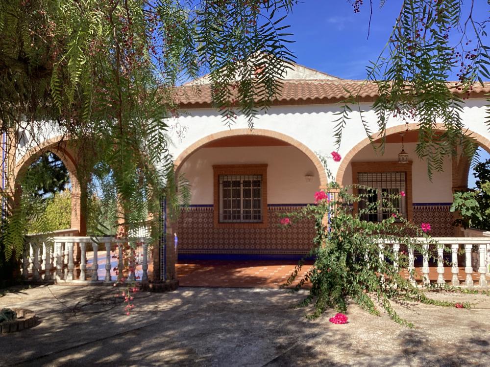  à vendre villa Puente Genil Campiña Sur 2
