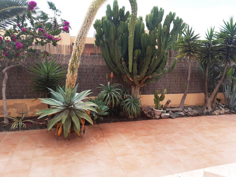  à vendre maison Geafond Oliva (La) 4
