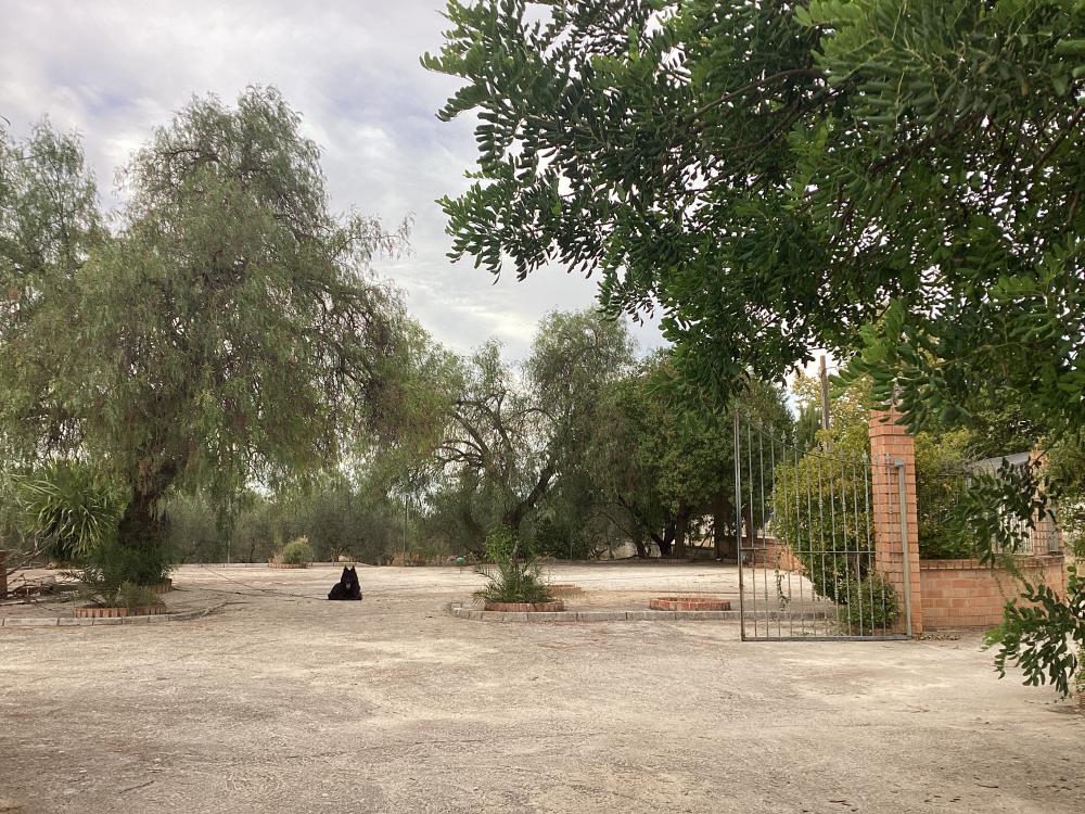  à vendre villa Puente Genil Campiña Sur 50