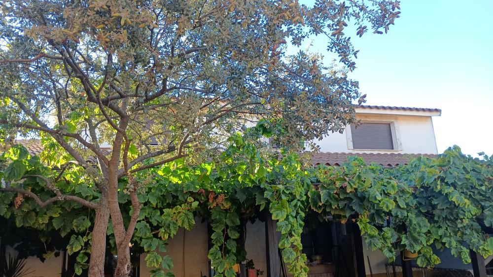  à vendre maison Las Labores Mancha (La) 30