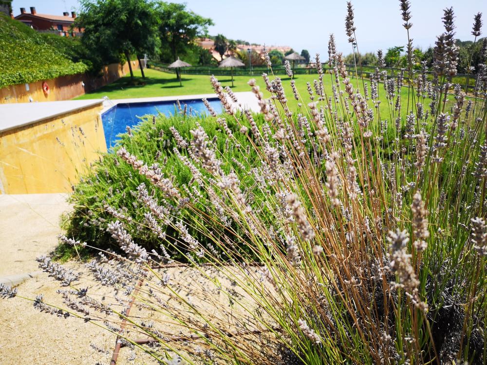  à vendre maison Arenys De Mar Maresme 36
