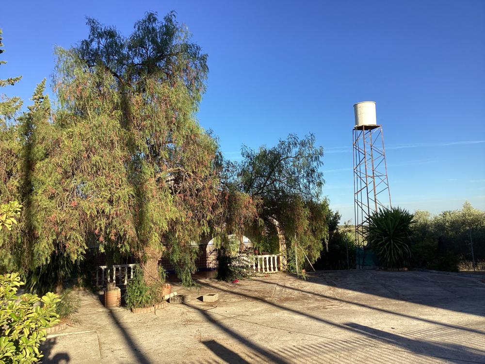  à vendre villa Puente Genil Campiña Sur 42