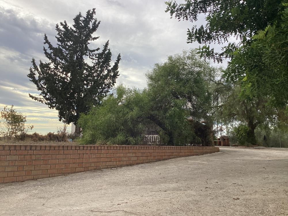  à vendre villa Puente Genil Campiña Sur 53