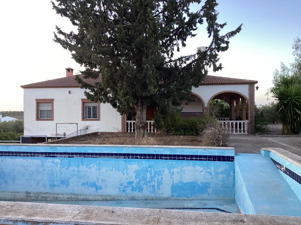  à vendre villa Puente Genil Campiña Sur 61