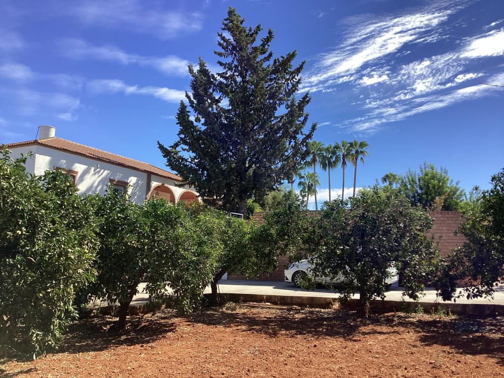  à vendre villa Puente Genil Campiña Sur 48