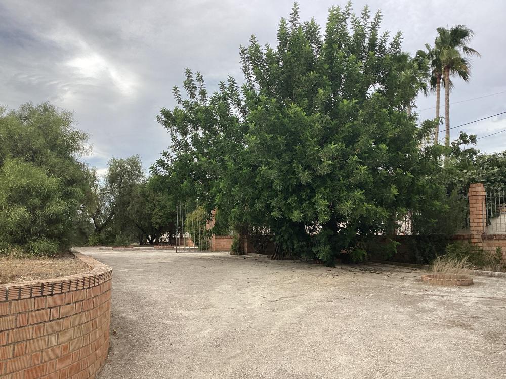  à vendre villa Puente Genil Campiña Sur 51
