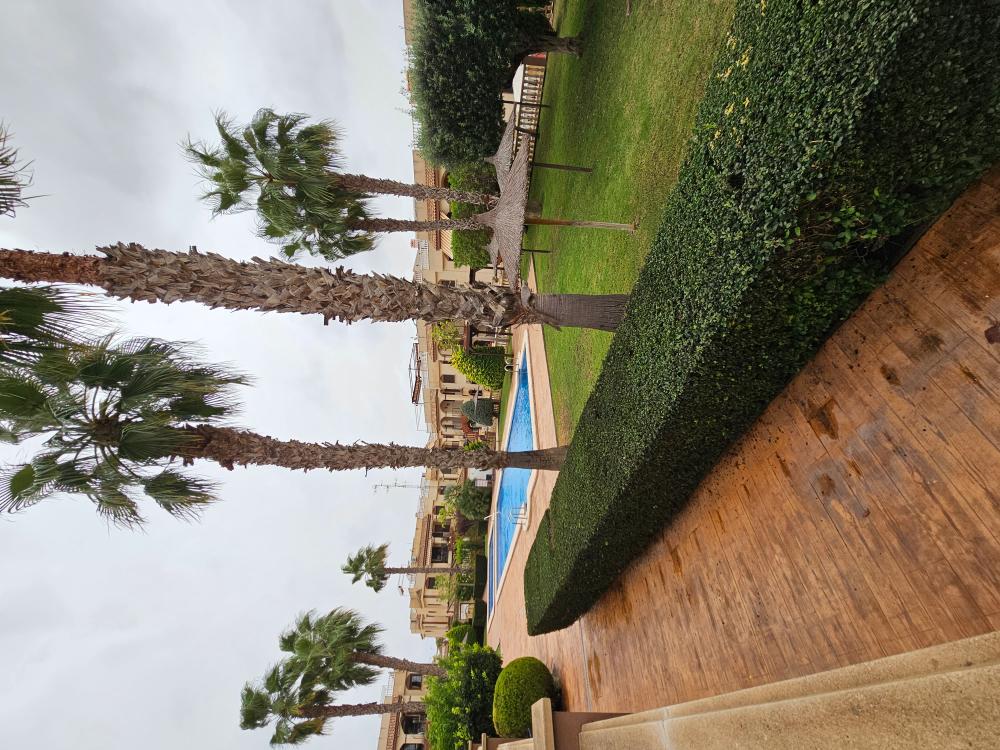  à vendre maison jumelée Playa De Los Locos-Aguas Nuevas-Torreblanca Baix Segura 12