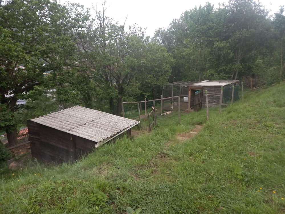  à vendre maison de campagne Rozada De Bazuelo Caudal 5