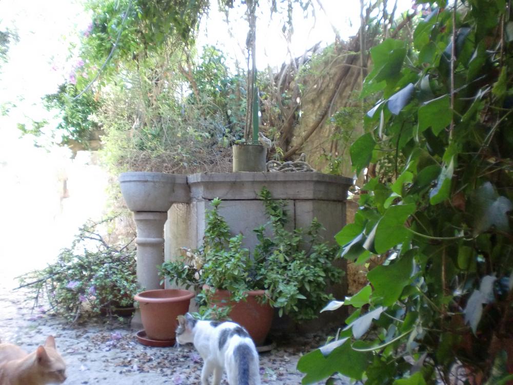  à vendre maison Lloseta Raiguer 20