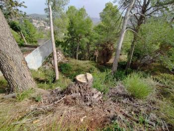 Mas De Les Fonts Baix Llobregat terrain foto 5490948