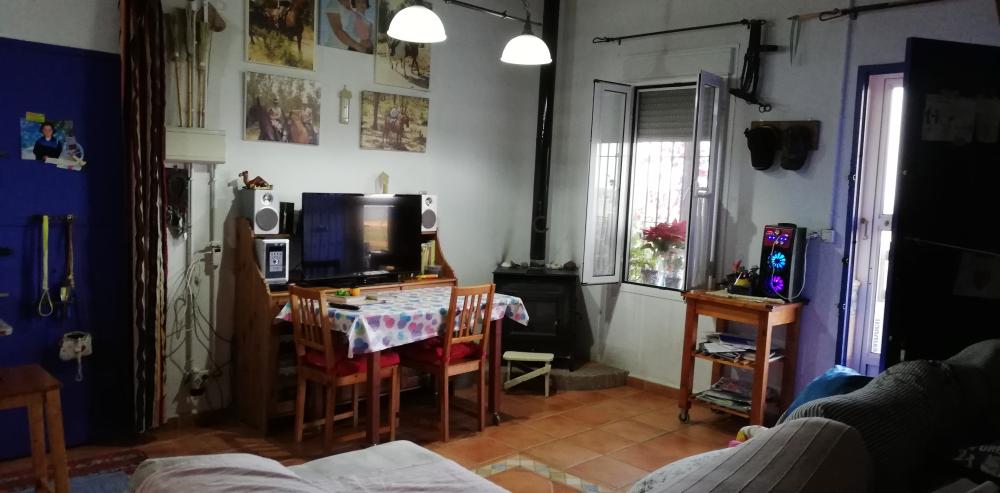  à vendre maison de campagne Villanueva Del Río Y Minas Vega Del Guadalquivir 12