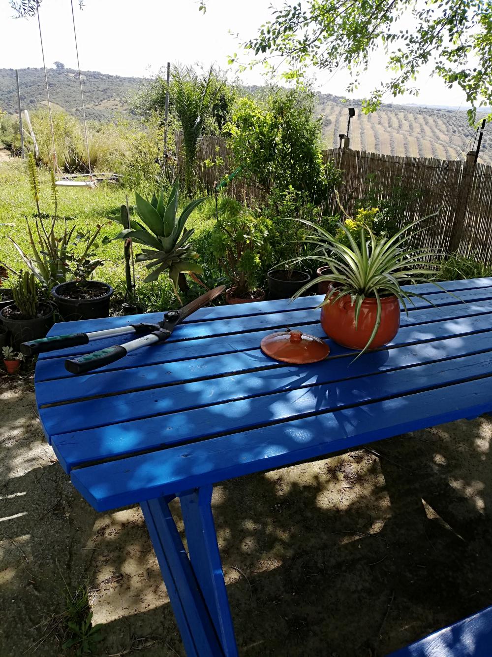 à vendre maison de campagne Villanueva Del Río Y Minas Vega Del Guadalquivir 5