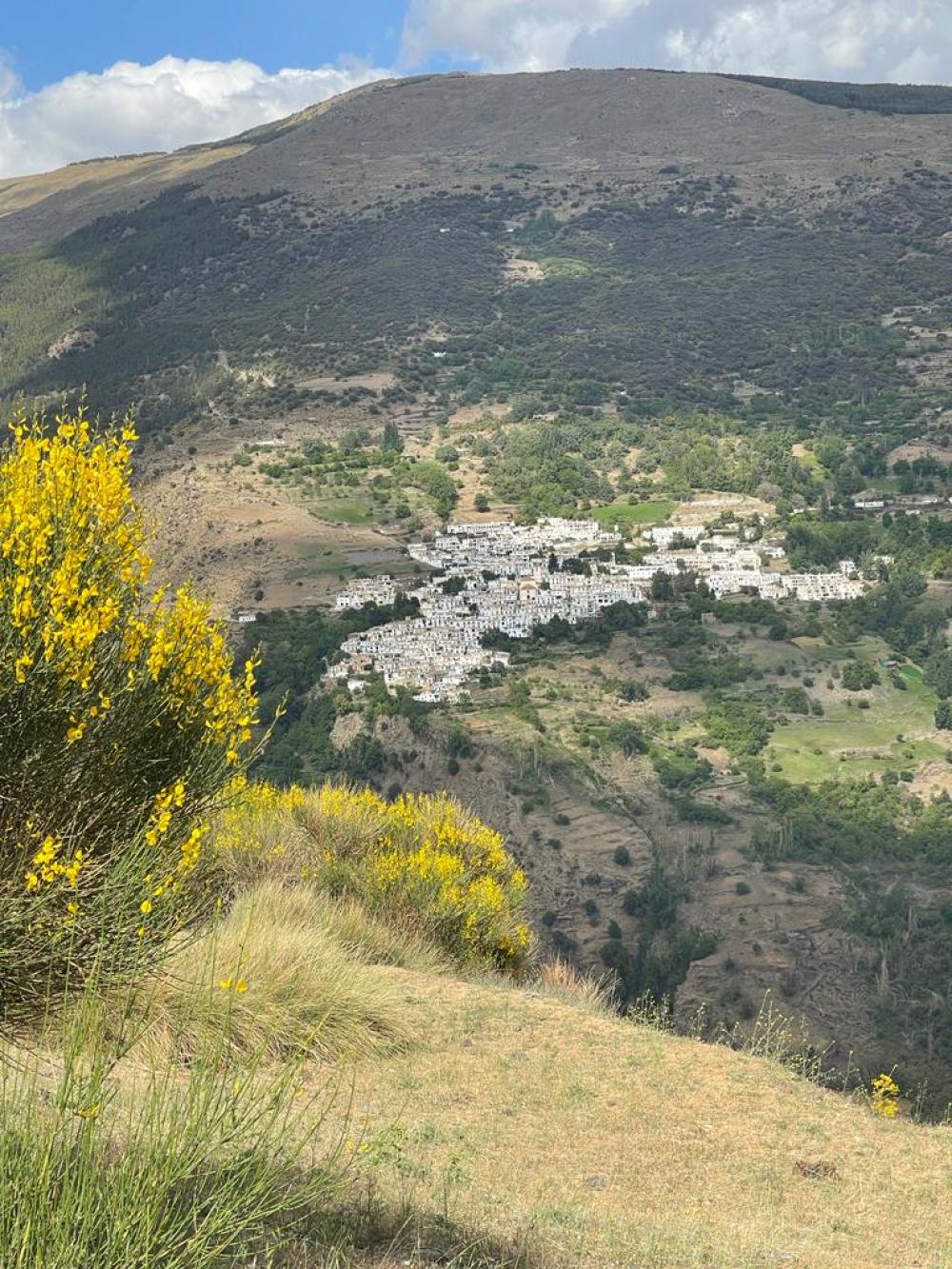  à vendre maison de campagne Pampaneira Alpujarra Granadina 2