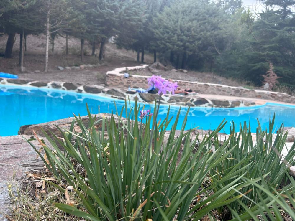  à vendre maison de campagne Pampaneira Alpujarra Granadina 16