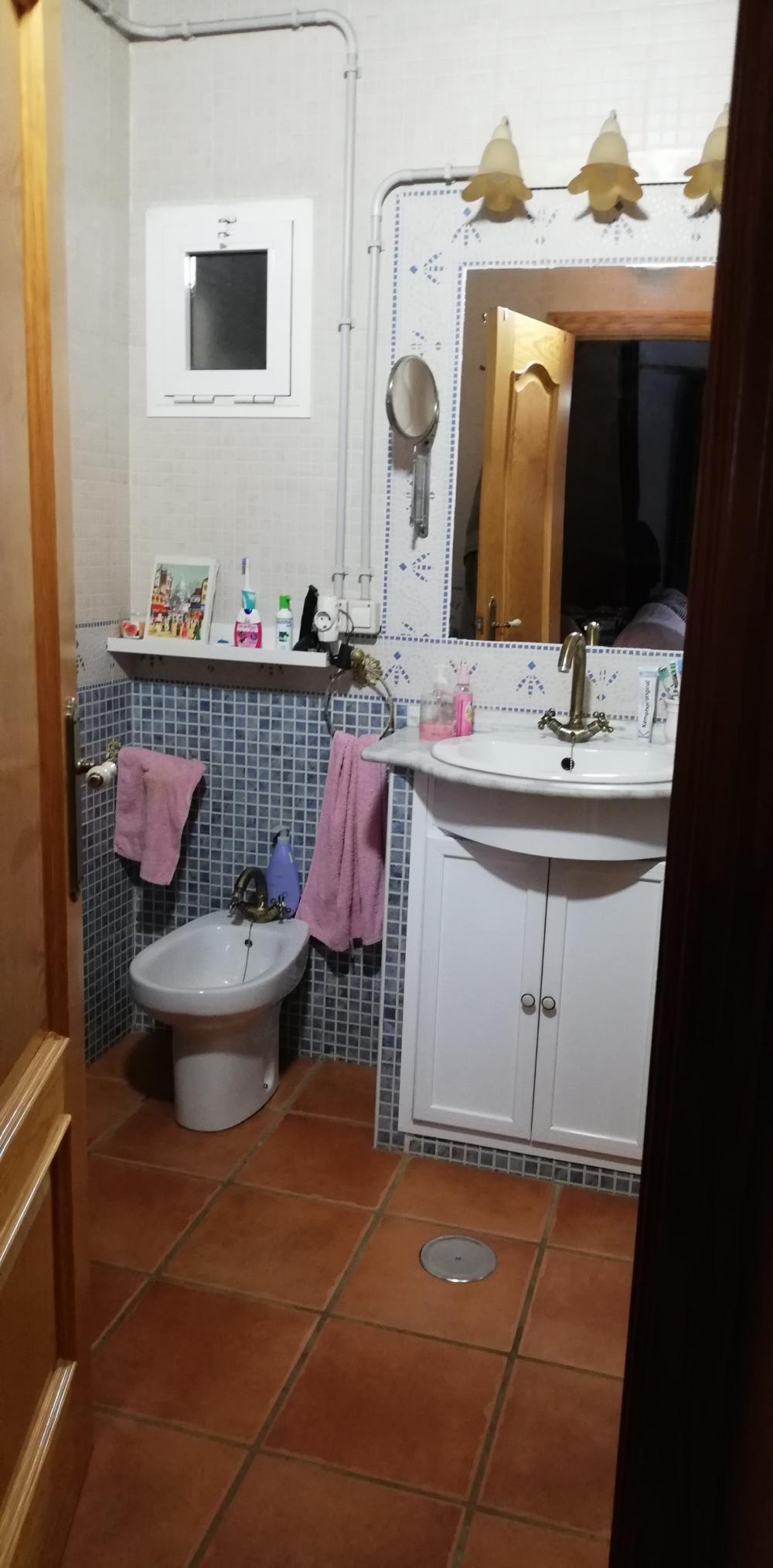  à vendre maison de campagne Villanueva Del Río Y Minas Vega Del Guadalquivir 33