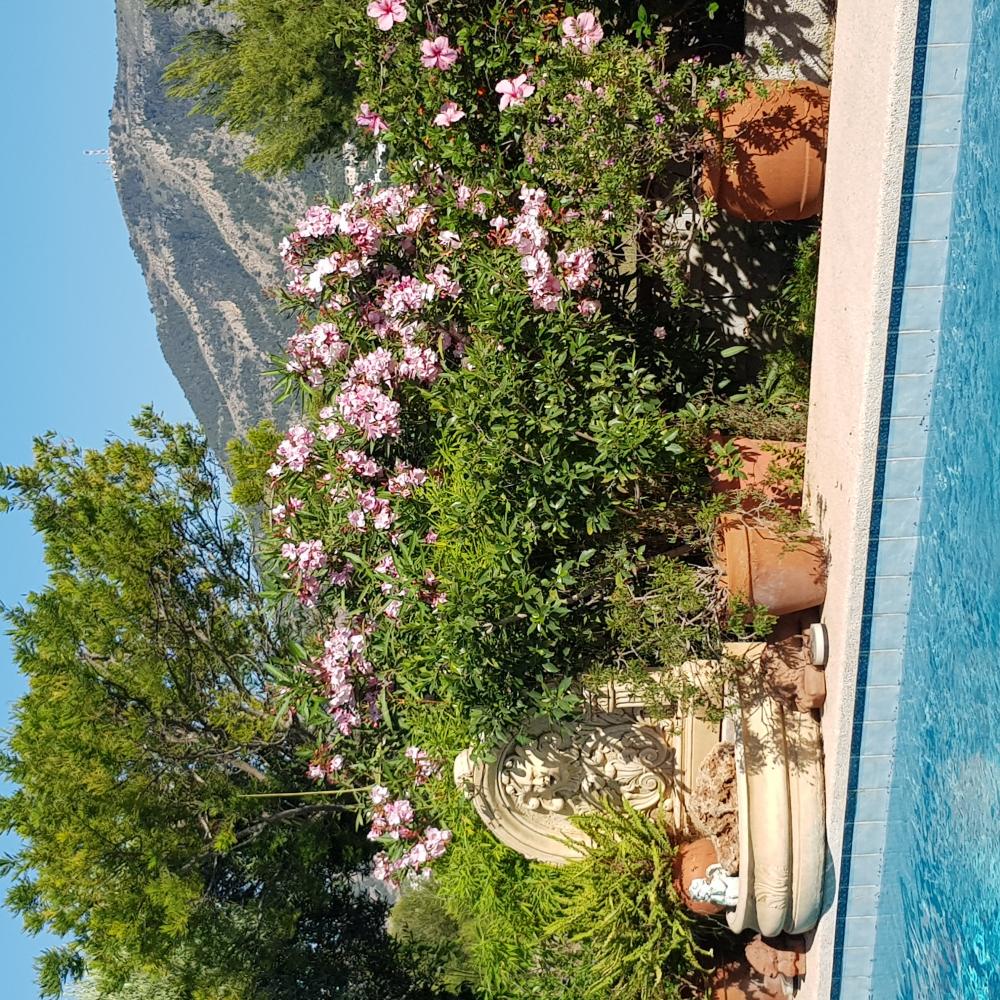  à vendre villa Alfaz Del Pi Marina Baixa 18