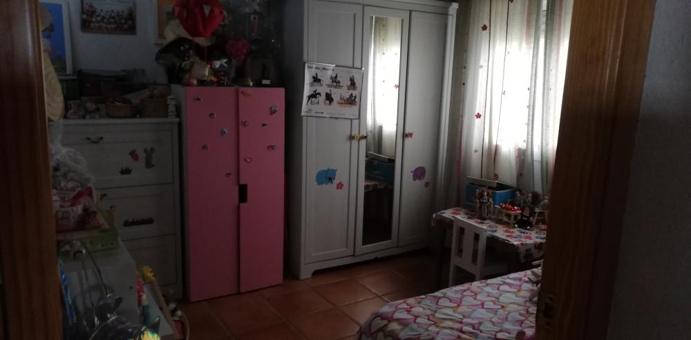  à vendre maison de campagne Villanueva Del Río Y Minas Vega Del Guadalquivir 17