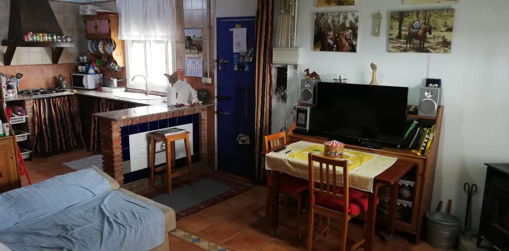  à vendre maison de campagne Villanueva Del Río Y Minas Vega Del Guadalquivir 19