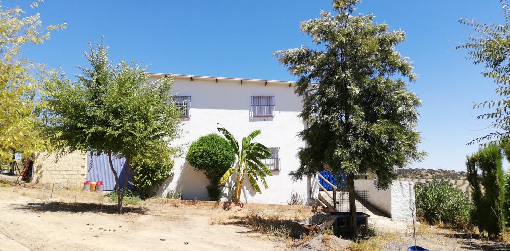  à vendre maison de campagne Villanueva Del Río Y Minas Vega Del Guadalquivir 28