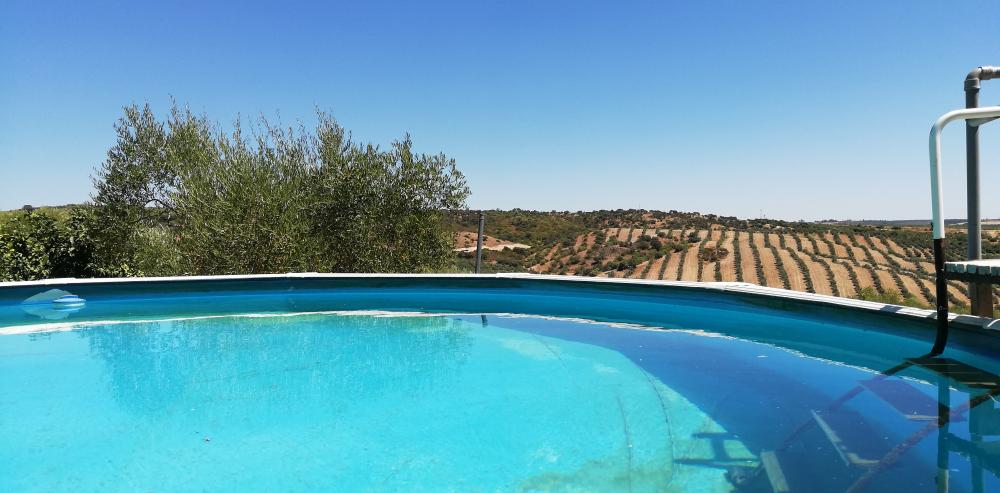  à vendre maison de campagne Villanueva Del Río Y Minas Vega Del Guadalquivir 6