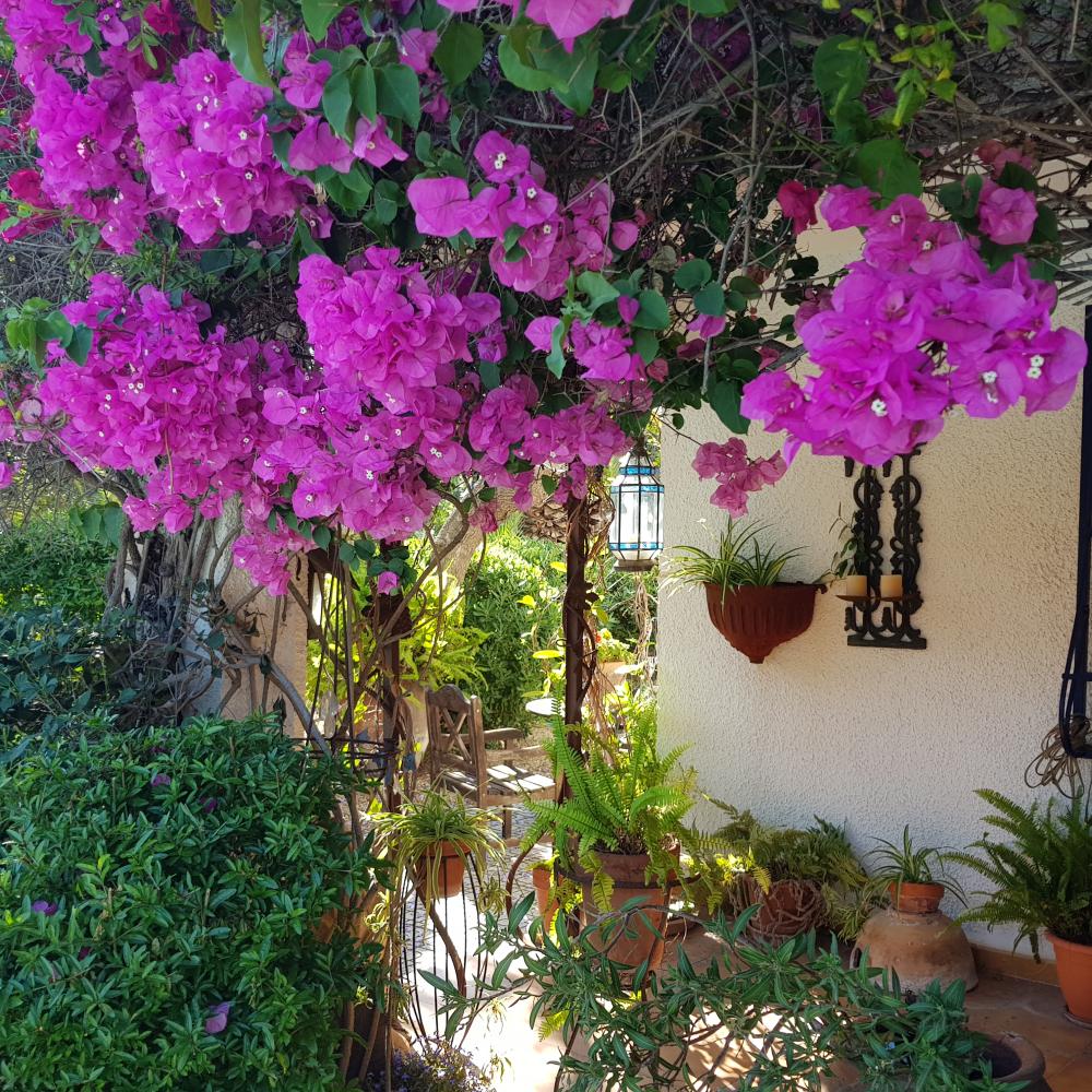  à vendre villa Alfaz Del Pi Marina Baixa 24